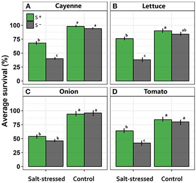 Antarctic Extremophiles: Biotechnological Alternative to Crop Productivity in Saline Soils